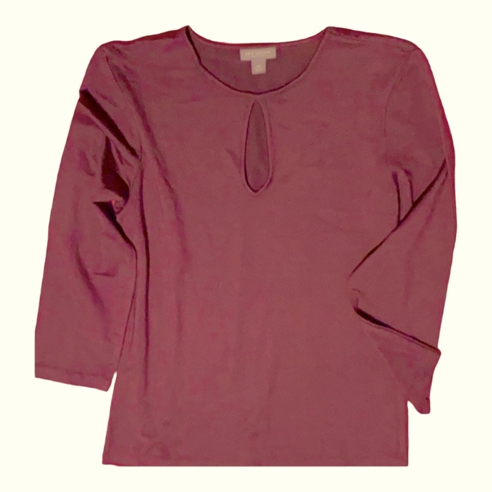 Ann Taylor top